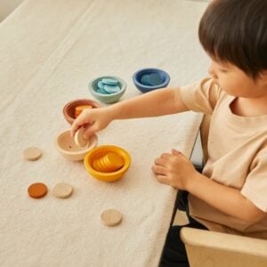 PlanToys_5475_Sort-and-Count2-300x300