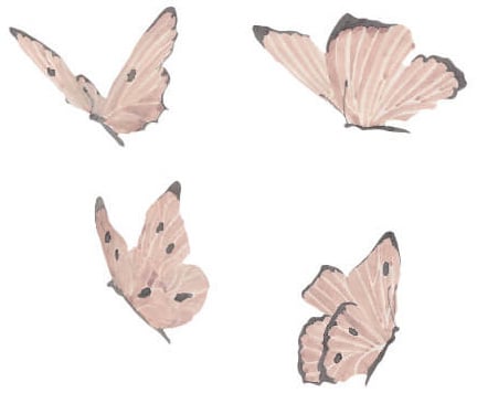 wallsticker-butterflies-4-pcs-dusty-rose-500x500